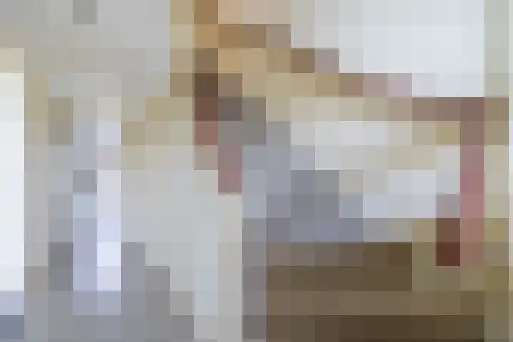 Dr Beguinlaan 62 Voorburg thumbnail 20