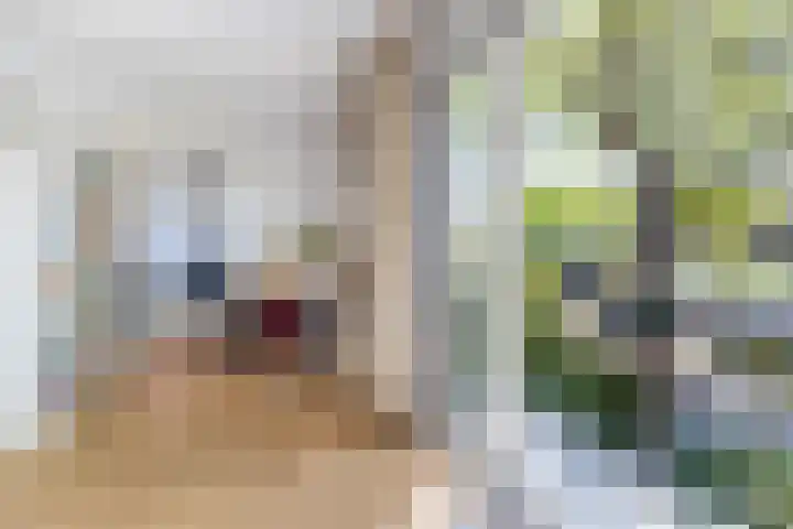 Dr Beguinlaan 62 Voorburg thumbnail 23