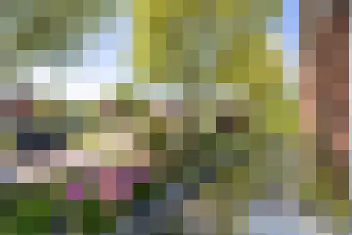 Dr Beguinlaan 62 Voorburg thumbnail 24