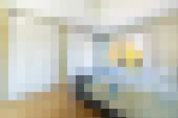 Dr Beguinlaan 62 Voorburg thumbnail 26
