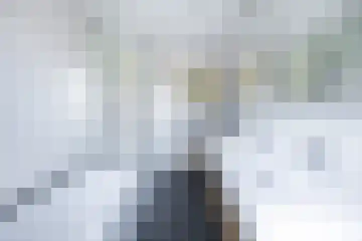 Dr Beguinlaan 62 Voorburg thumbnail 30