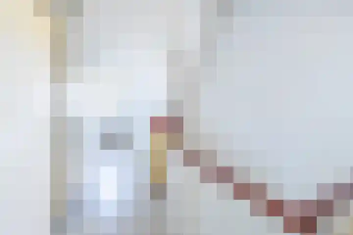Dr Beguinlaan 62 Voorburg thumbnail 32