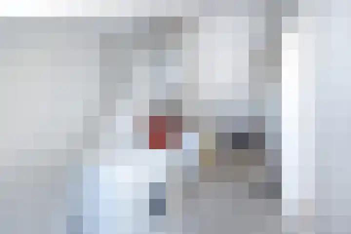 Dr Beguinlaan 62 Voorburg thumbnail 33