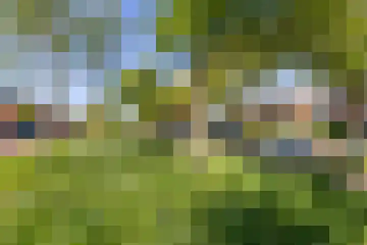 Dr Beguinlaan 62 Voorburg thumbnail 38