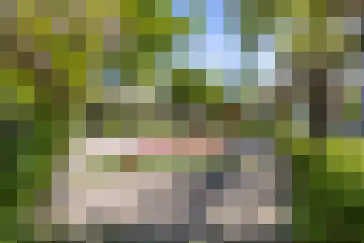 Dr Beguinlaan 62 Voorburg thumbnail 39
