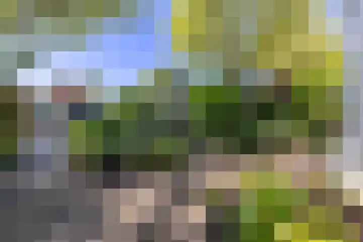 Dr Beguinlaan 62 Voorburg thumbnail 4