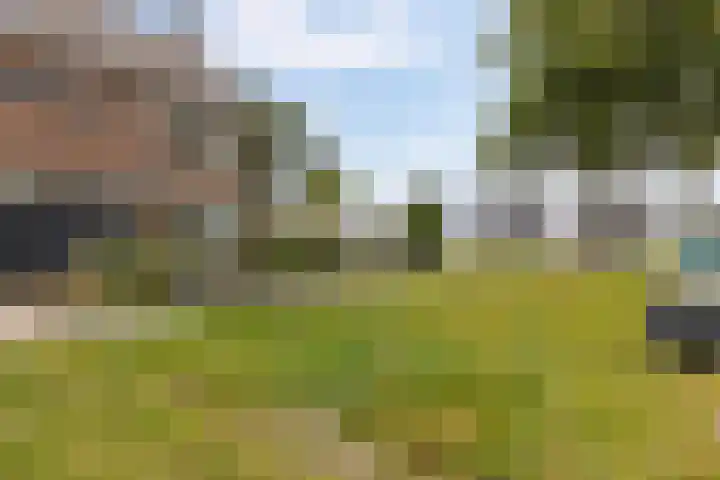 Dr. Bekenkampstraat 2 Veendam thumbnail 37