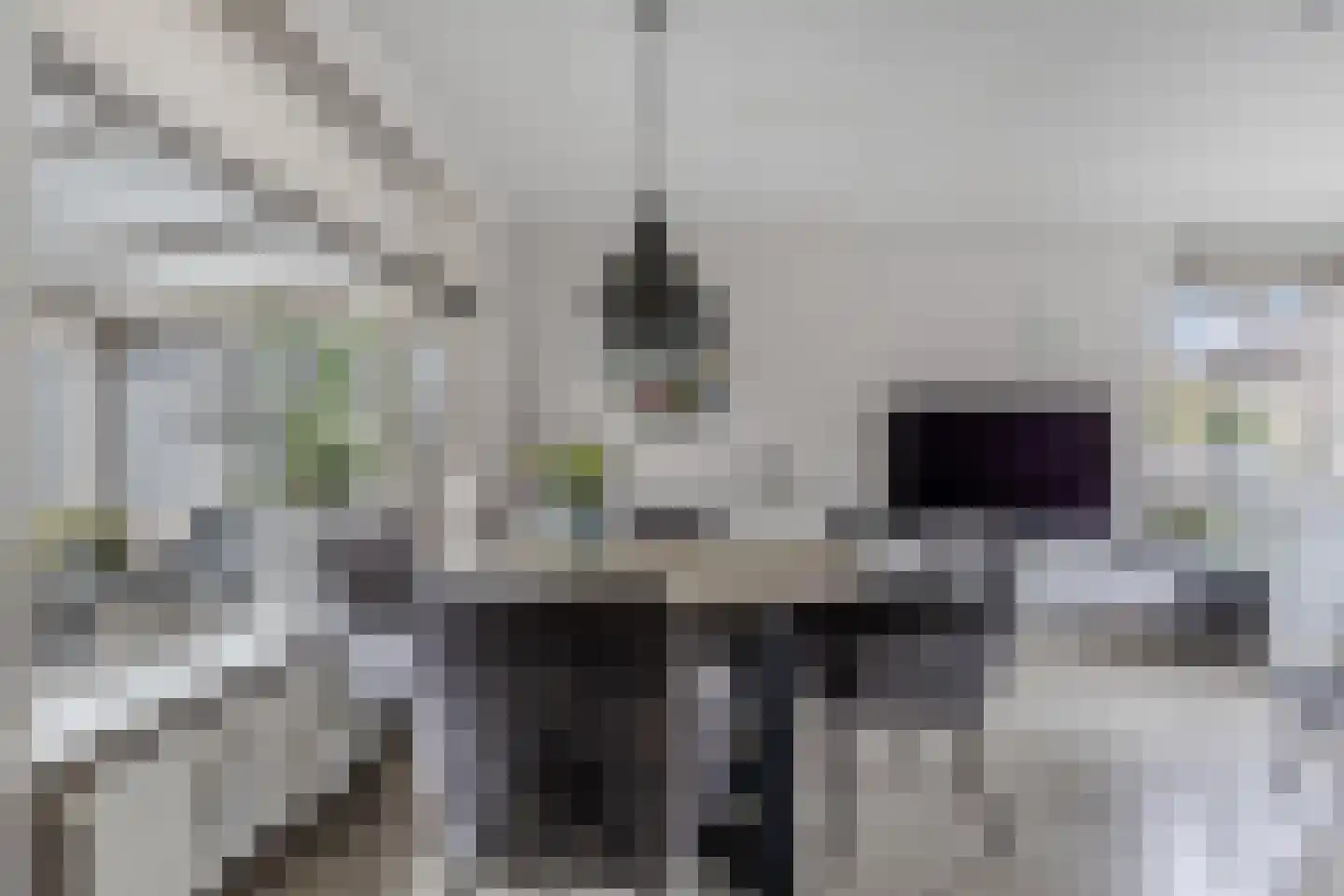 Dr. Berend ten Broeckestraat 3 Steenwijk thumbnail 10