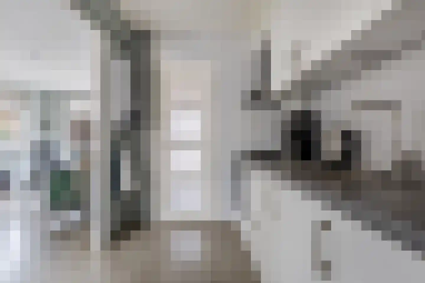 Dr. Berend ten Broeckestraat 3 Steenwijk thumbnail 12