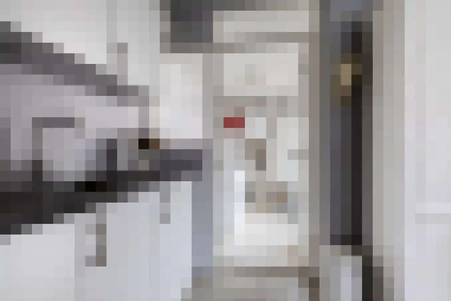 Dr. Berend ten Broeckestraat 3 Steenwijk thumbnail 13