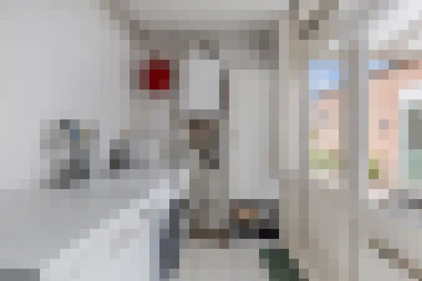 Dr. Berend ten Broeckestraat 3 Steenwijk thumbnail 14