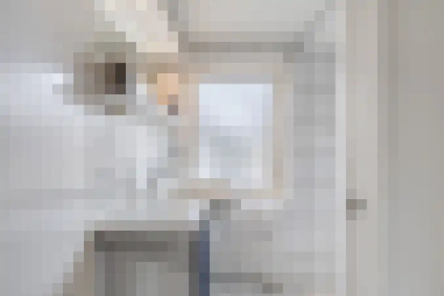 Dr. Berend ten Broeckestraat 3 Steenwijk thumbnail 20