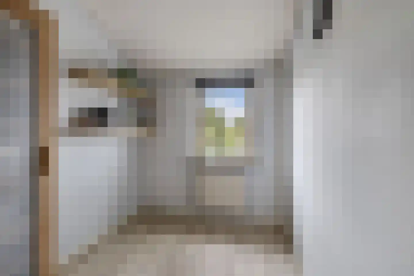 Dr. Berend ten Broeckestraat 3 Steenwijk thumbnail 25