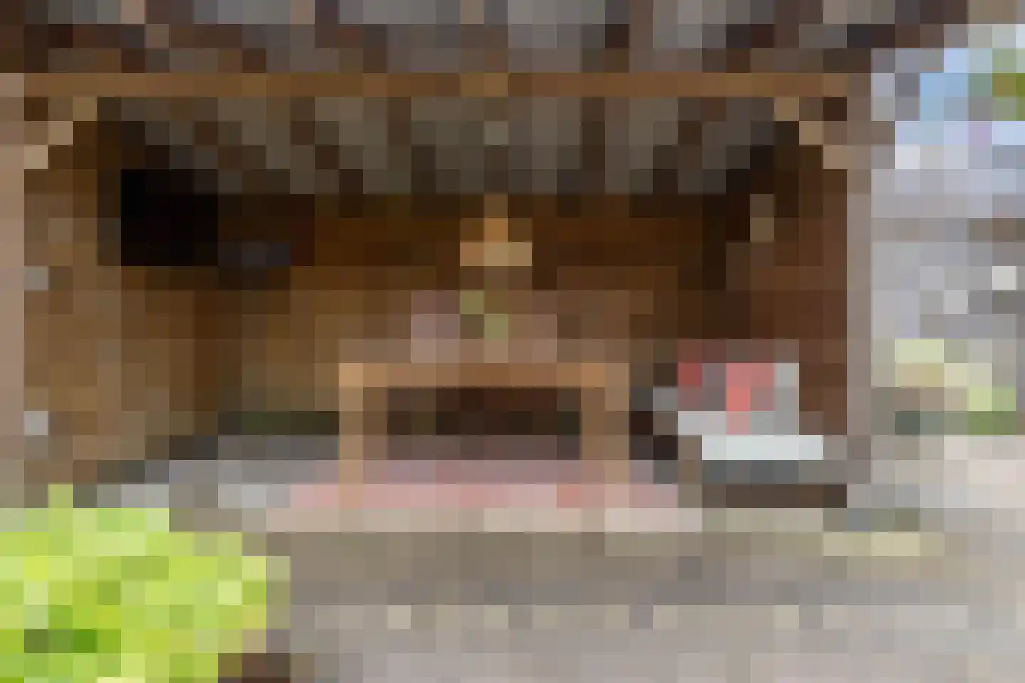 Dr. Berend ten Broeckestraat 3 Steenwijk thumbnail 32