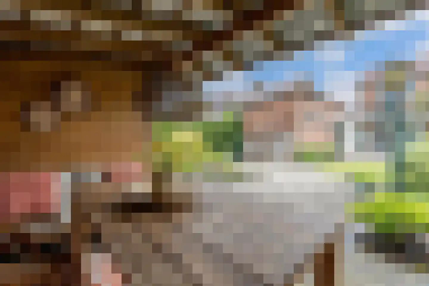 Dr. Berend ten Broeckestraat 3 Steenwijk thumbnail 33