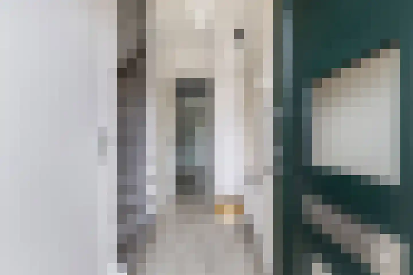Dr. Berend ten Broeckestraat 3 Steenwijk thumbnail 4