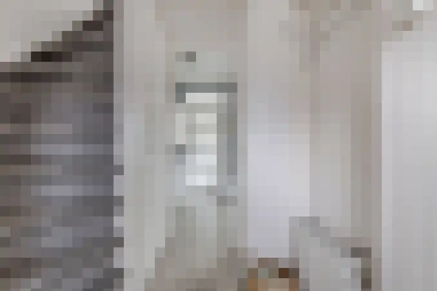 Dr. Berend ten Broeckestraat 3 Steenwijk thumbnail 6