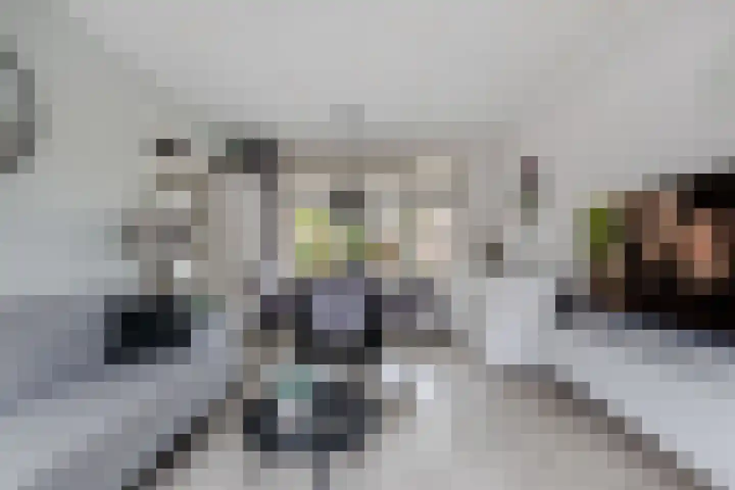 Dr. Berend ten Broeckestraat 3 Steenwijk thumbnail 8