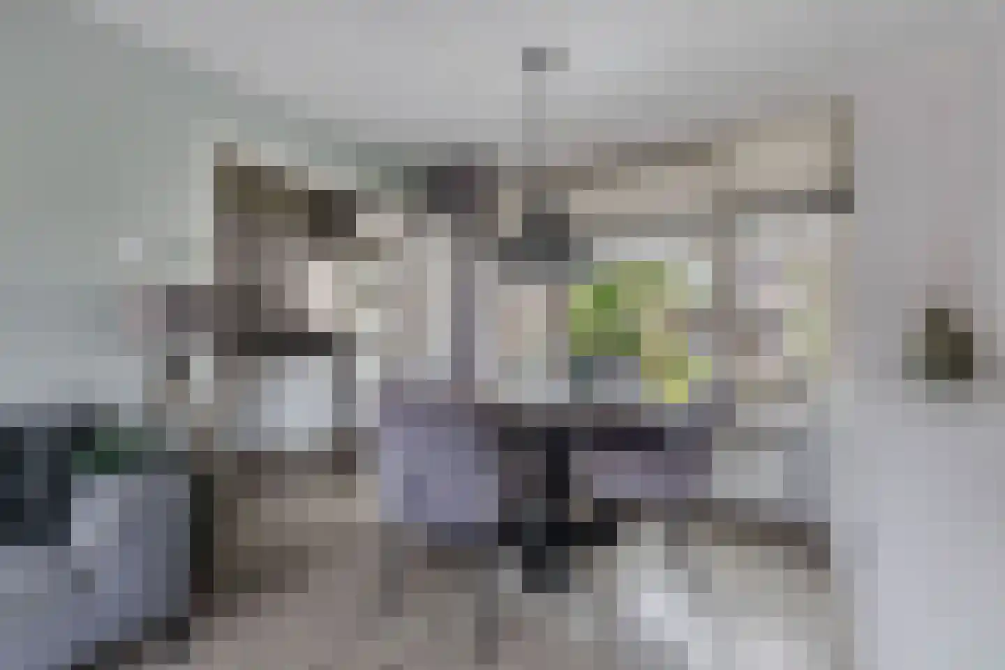 Dr. Berend ten Broeckestraat 3 Steenwijk thumbnail 9
