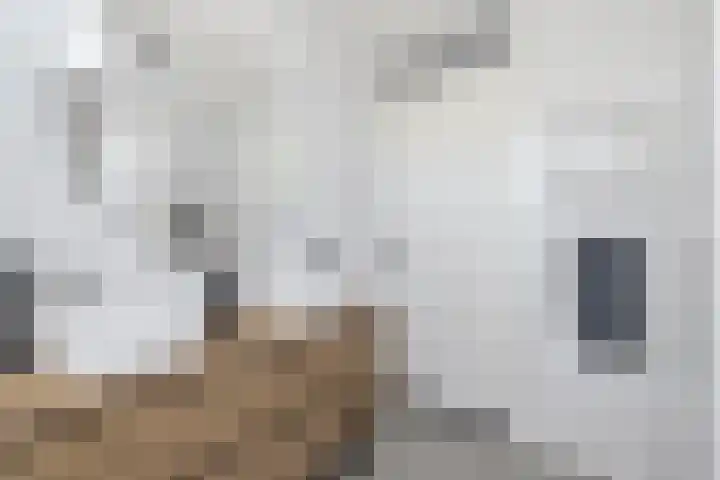 Dr Berlagelaan 13 D Eindhoven thumbnail 25