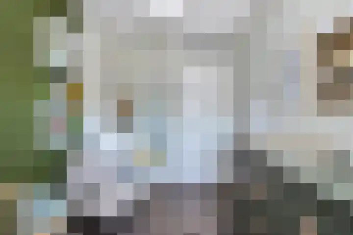 Dr Berlagelaan 13 D Eindhoven thumbnail 30