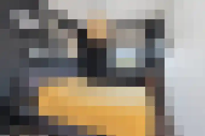 Dr Berlagelaan 13 D Eindhoven thumbnail 31