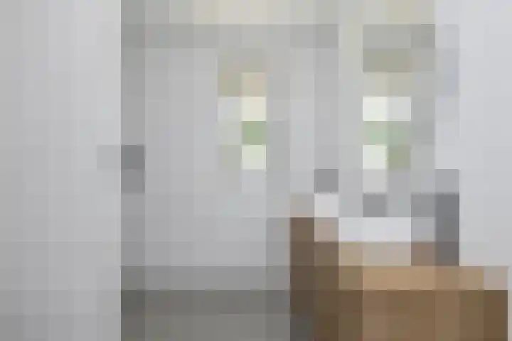 Dr Berlagelaan 13 D Eindhoven thumbnail 4