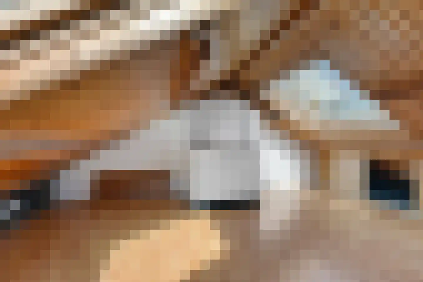 Dr Berlagelaan 55 Eindhoven thumbnail 29