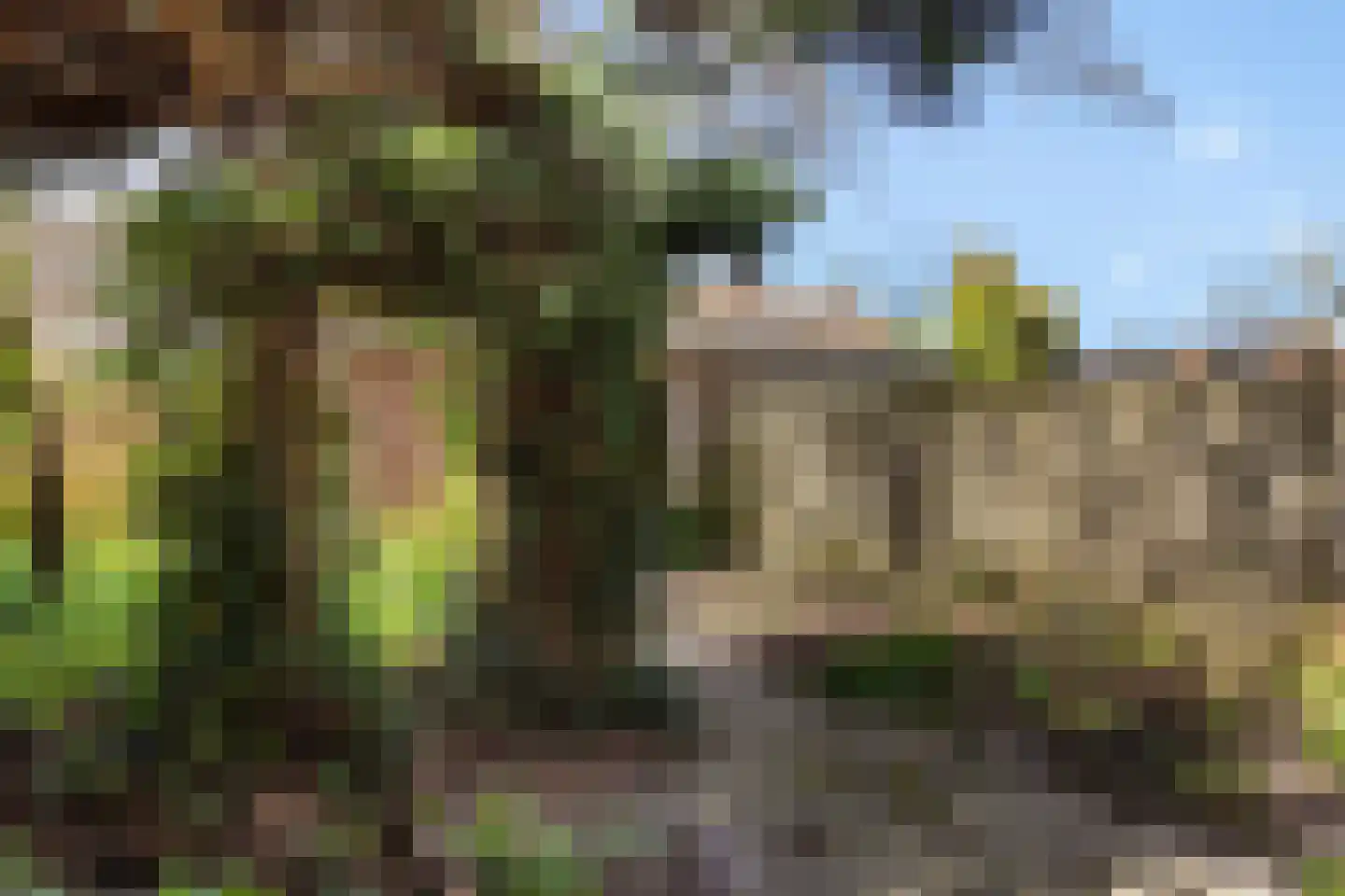 Dr Berlagelaan 55 Eindhoven thumbnail 32