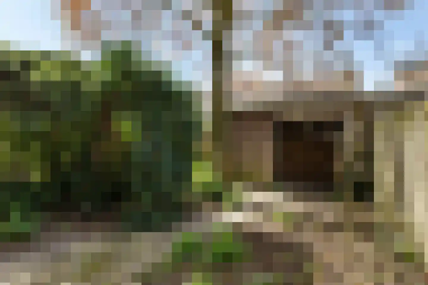 Dr Berlagelaan 55 Eindhoven thumbnail 33