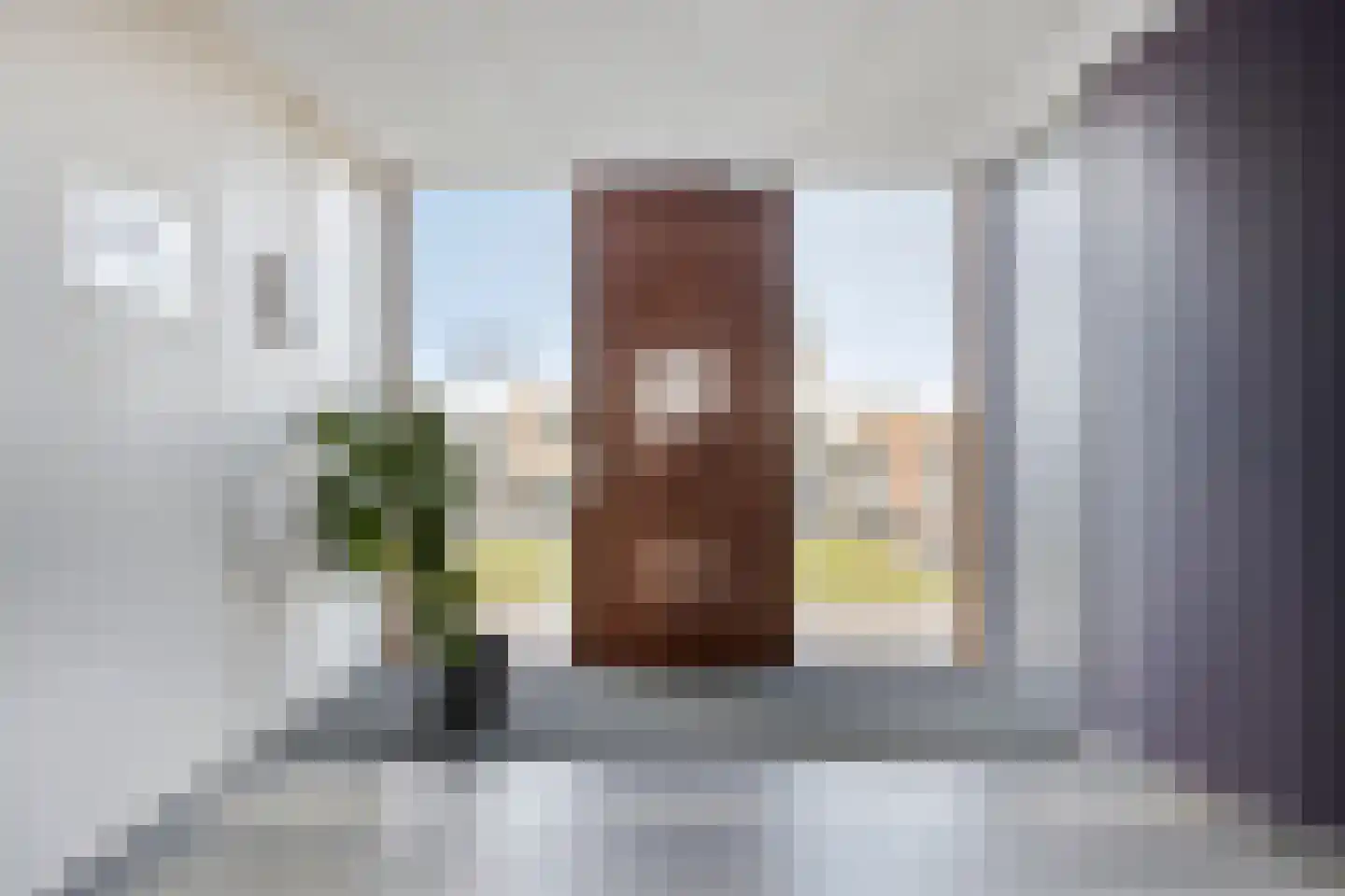 dr Besselinkstraat 36 Lichtenvoorde thumbnail 24