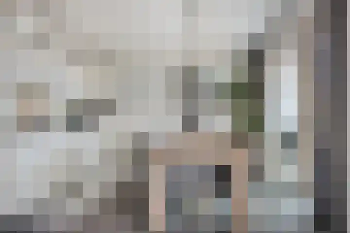 dr Besselinkstraat 40 Lichtenvoorde thumbnail 10