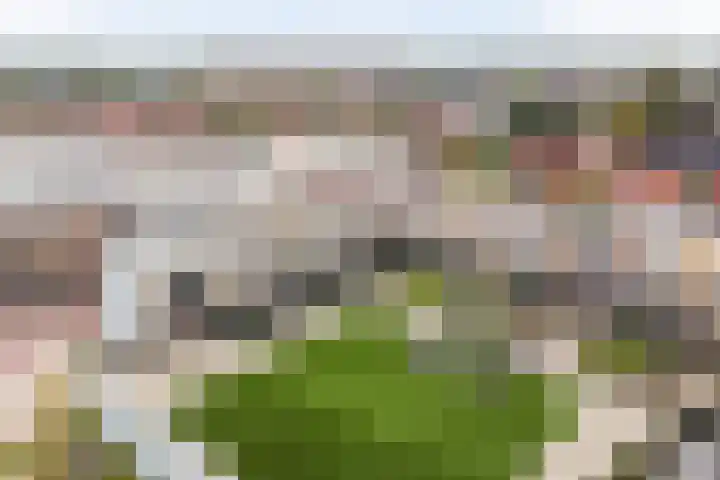 dr Besselinkstraat 40 Lichtenvoorde thumbnail 25