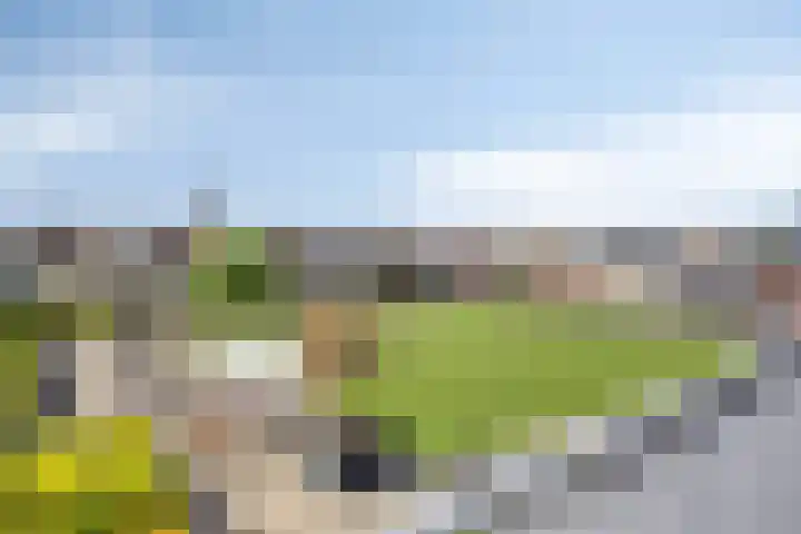 dr Besselinkstraat 40 Lichtenvoorde thumbnail 5
