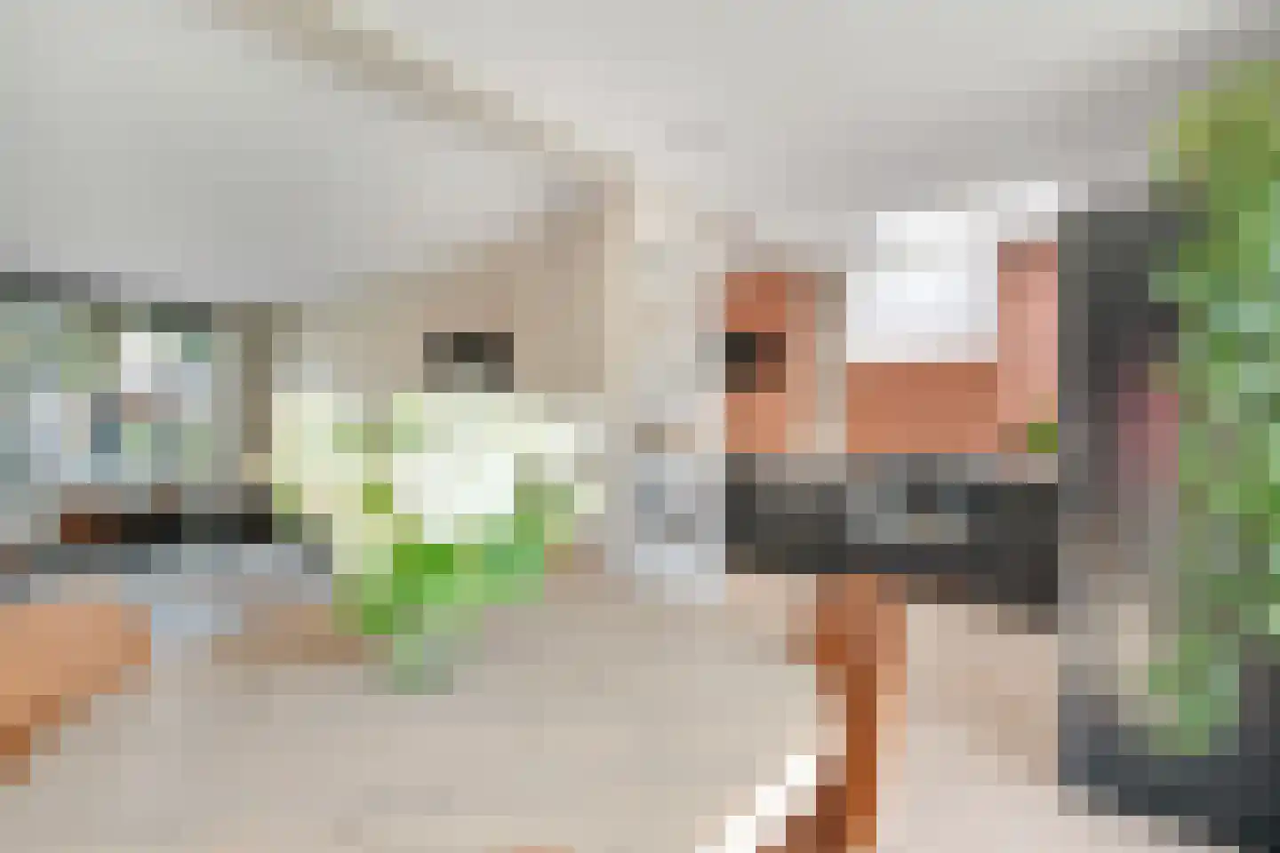 Dr. Bezoenstraat 5 Enschede thumbnail 4