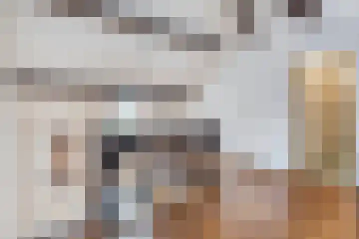 Dr.Biermansstraat 24 Herkenbosch thumbnail 25