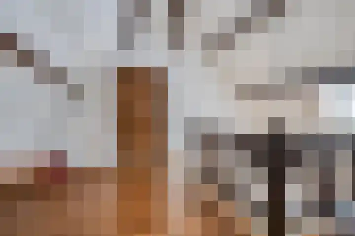 Dr.Biermansstraat 24 Herkenbosch thumbnail 26