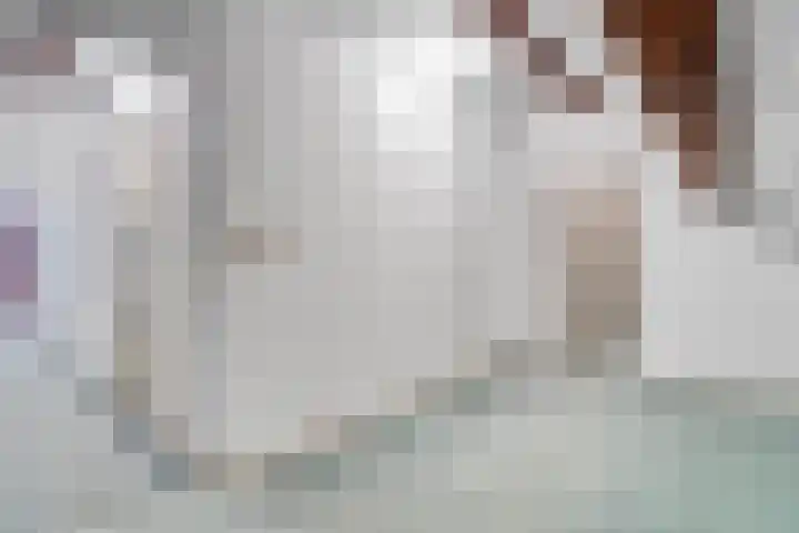 Dr.Biermansstraat 24 Herkenbosch thumbnail 28