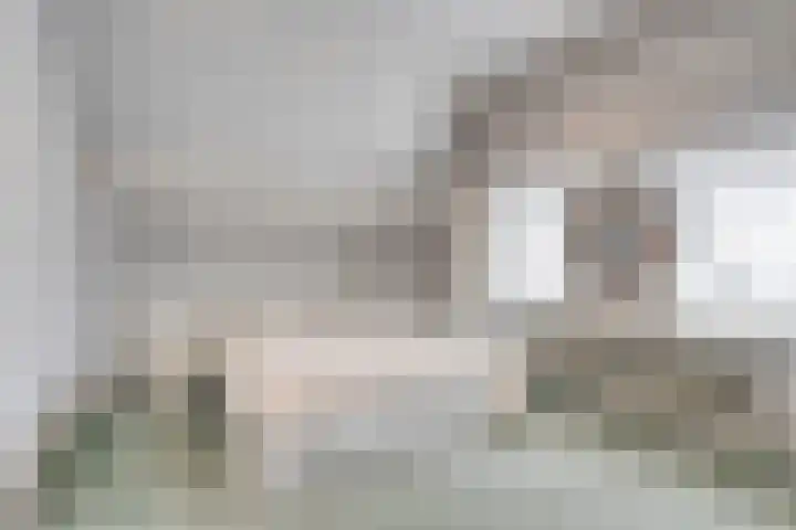Dr.Biermansstraat 24 Herkenbosch thumbnail 29