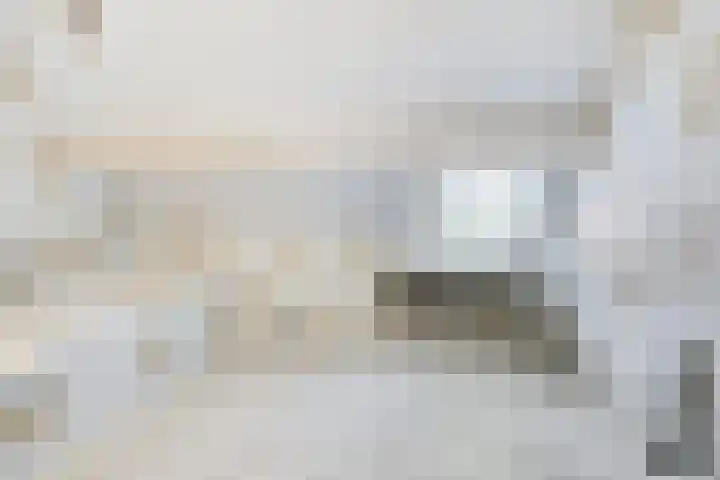 Dr.Biermansstraat 24 Herkenbosch thumbnail 30