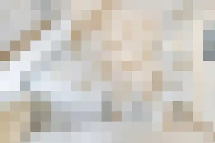 Dr.Biermansstraat 24 Herkenbosch thumbnail 32