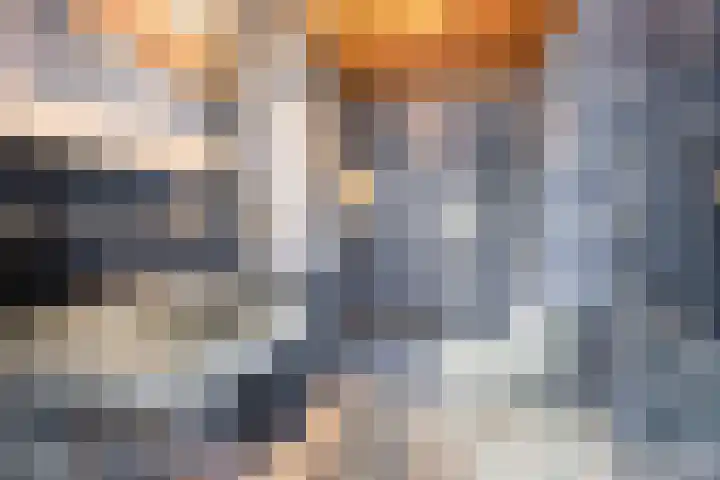 Dr.Biermansstraat 24 Herkenbosch thumbnail 36