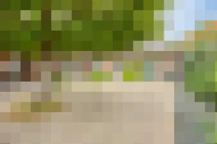 Dr.Biermansstraat 24 Herkenbosch thumbnail 4
