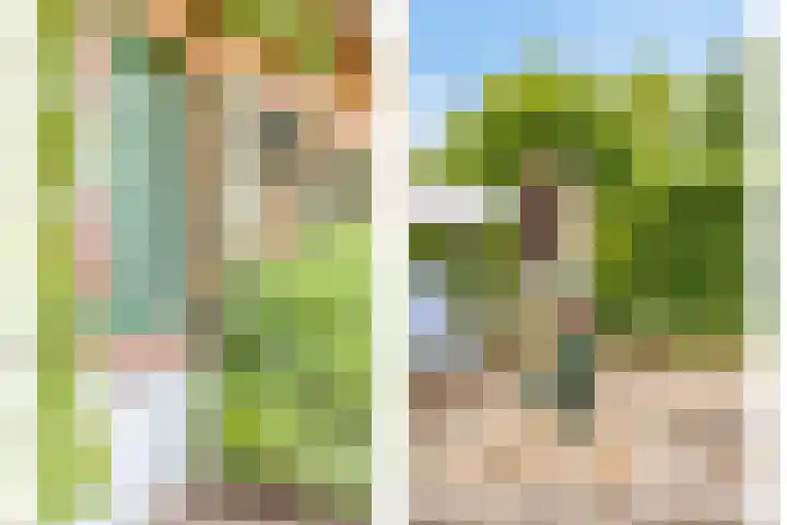 Dr.Biermansstraat 24 Herkenbosch thumbnail 42
