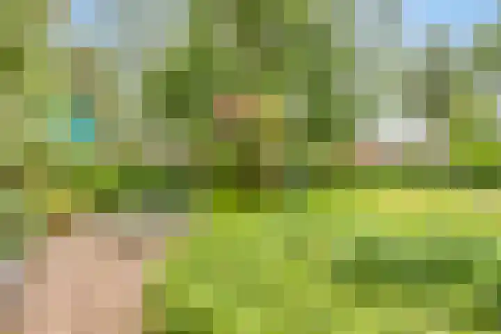 Dr.Biermansstraat 24 Herkenbosch thumbnail 43