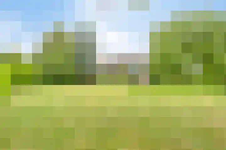 Dr.Biermansstraat 24 Herkenbosch thumbnail 47