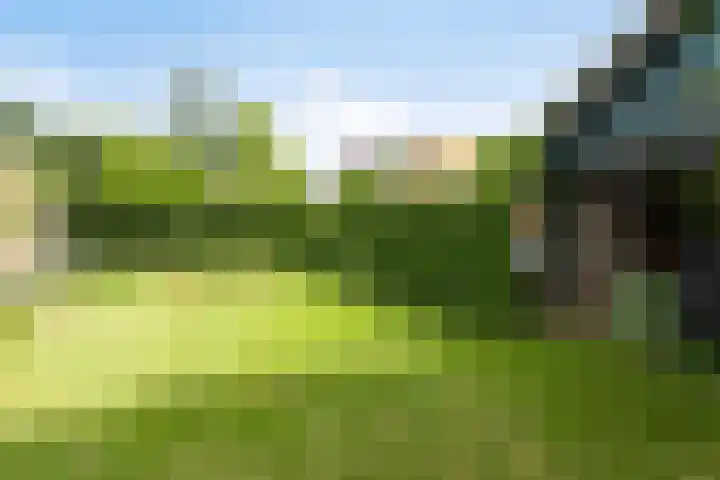 Dr.Biermansstraat 24 Herkenbosch thumbnail 48