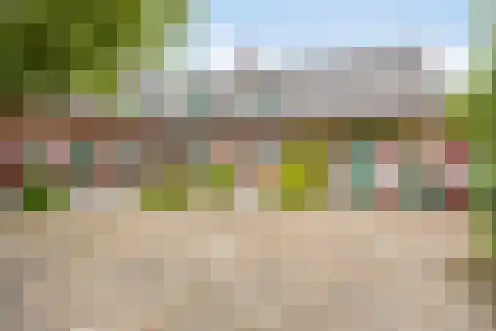 Dr.Biermansstraat 24 Herkenbosch thumbnail 5