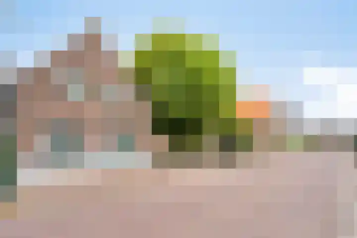 Dr.Biermansstraat 24 Herkenbosch thumbnail 54