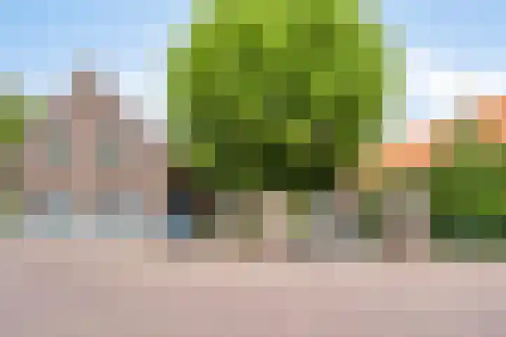 Dr.Biermansstraat 24 Herkenbosch thumbnail 56